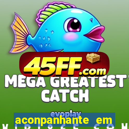 aconpanhante em porto alegre